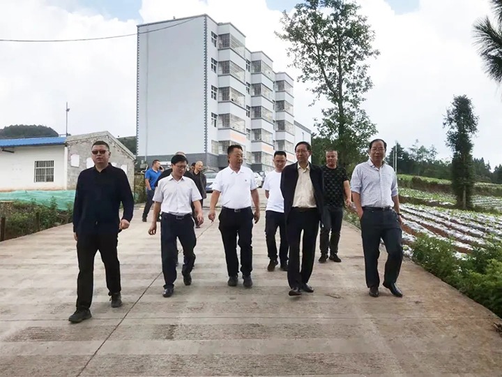 曲靖市副市长钟玉带队赴金城煤矿发展安全出产专项调研