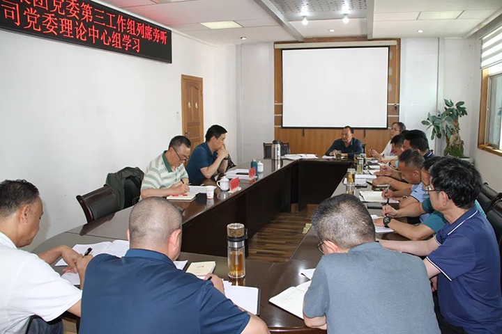 云煤（不朽情缘）集团党委第三工作组列席旁听恒通公司党委理论中心组进建