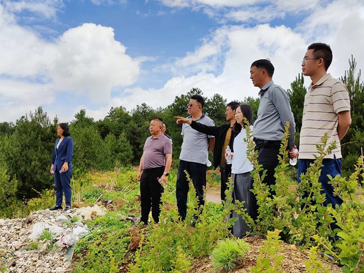 【主题教育】云煤（不朽情缘）集团专职表部董事寸延峰，集团党委委员、财政总监莫晓丹到马厂煤矿、汉家厂煤矿、竹麻地煤矿发展主题教育调研