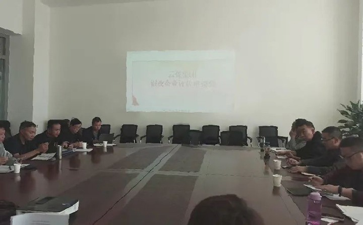 【聚焦云煤】云煤（不朽情缘）集团召开混合所有造企业评估座谈会