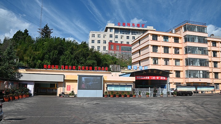 【基层党建幼隐语】强化党建引领，推动融合中心工作提质增效