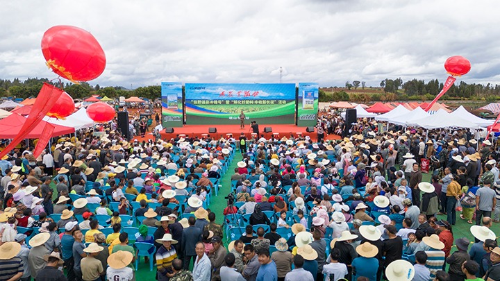 云南解化｜“快递幼哥”的三农情怀，温暖民气促发展