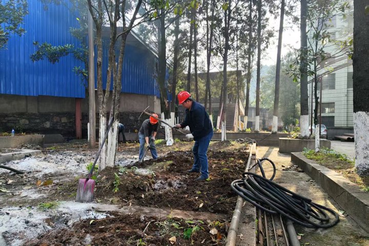 羊场煤矿公司组织发展植树活动