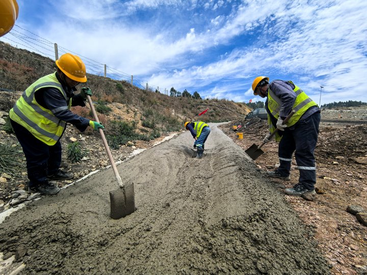 前锋煤业 | 筑牢防汛“红色堤坝”